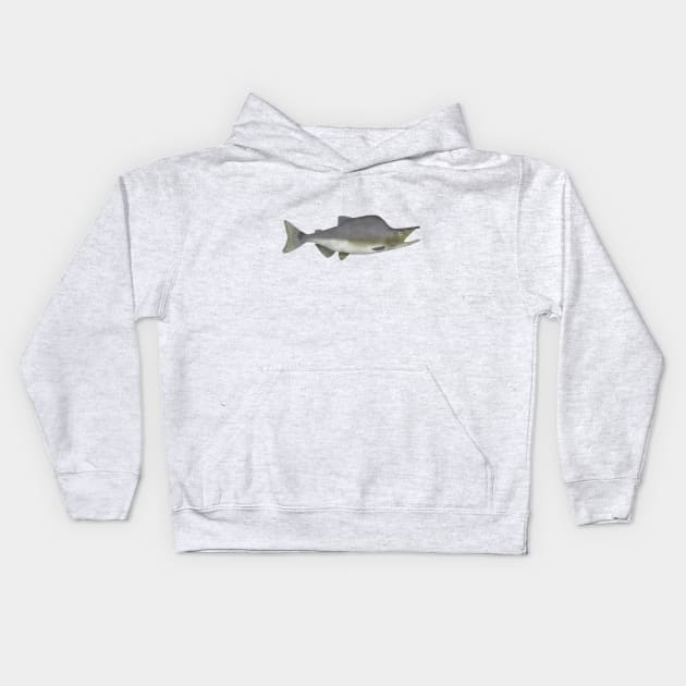 Pink Salmon - Spawn Phase Kids Hoodie by FishFolkArt